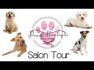 Pooch Boutique Dog Grooming Salon Tour