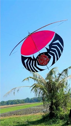 SPIDER KITE PROJECT #kite #spider #kite #creative #creation