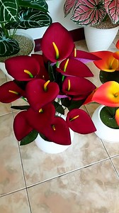 6 comments | Bunga lily cantik殺殺 | Sakura Florist | Facebook