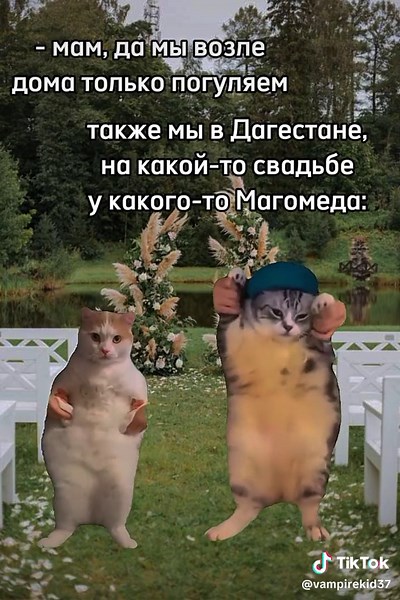 #fyyyyyyyyyyyyyyyy #fyrシ #fyrou #прогулкавозледома#насвадьбемагамедавдагестане#подругапрогулка#гулянки#мем #кошки#свадьбавдагестане#мем