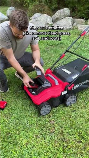 Pack Your Lunch… This Lawn Tool Means Business 💪 | DIY Lawn Care
