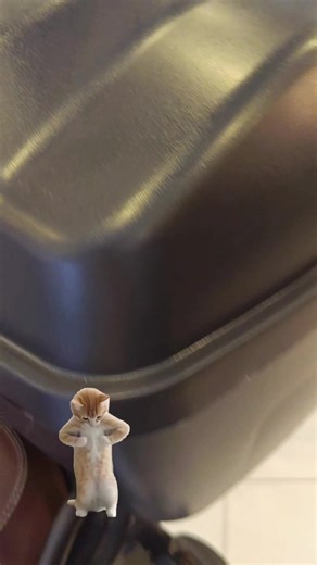 Rocketman 300: La Moto Retro Ideal para la Ciudad