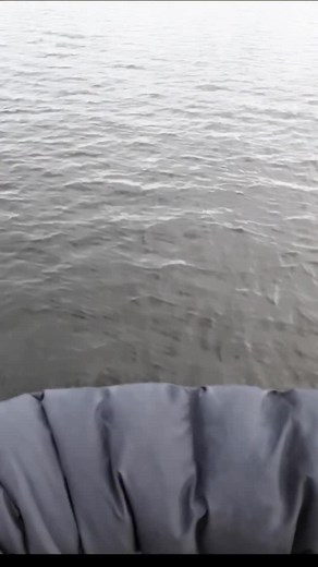 Finally a rock that fights like a musky. #lakevermillion #sketchynetjobs #are #fun #musky #muskyfishing | Muskies On Tap