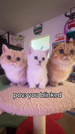 doob & scoob & goob | crying today abt this #fypppppppppppppppppppppppppppppppppppppppppppppppppppppppppppppppppppppp | Instagram