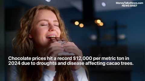 Your next chocolate bar might be grown in a Sacramento laboratory