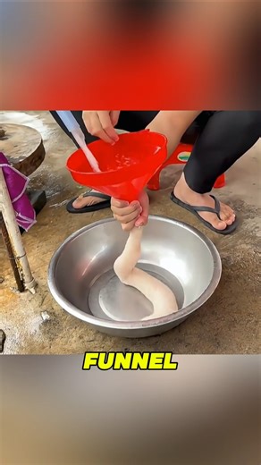 Life hacks so smart, you’ll wish you knew them years ago 🤯✨