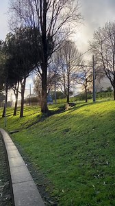 15K views · 301 reactions |  Singularidades do Metro – Parque Real  @metrodoporto_fanpage (IG). | Metro do Porto | Facebook