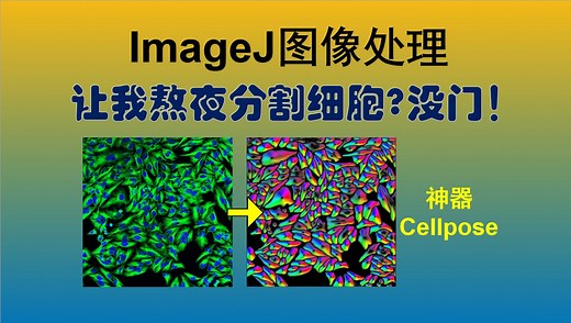 『充电专享』ImageJ_Python图像处理 - Cellpose细胞分割之王使用指南
