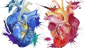 Algorithm Predicts Which Heart Failure Patients Will Live Or Die Better Than We Can