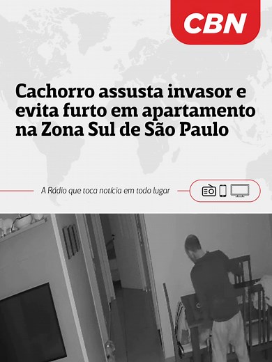 SÃO PAULO | Dois apartamentos de um prédio na Vila Olímpia, na Zona Sul de São Paulo, foram invadidos na madrugada de sábado (21). O suspeito teria escalado a fachada do edifício para acessar os imóveis e furtar um deles. Uma das invasões foi gravada e mostra que o suspeito fugiu depois dos latidos do cachorro. A moradora, que não chegou a perceber a presença do indivíduo no momento, denunciou o caso à polícia. O mesmo homem também é suspeito de invadir outros dois prédios nos últimos três meses