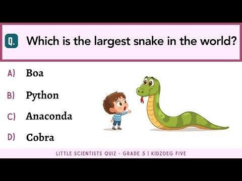 Little Scientists Quiz for Grade 5 | 20 Science Questions for Curious Kids | Elementary School Test