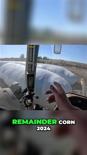 Fresh Corn Harvest 2024-2025: Amazing Ag Bag Shots! #shorts