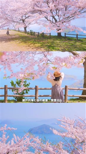 この春絶対見に行きたい！三豊の絶景スポット3選