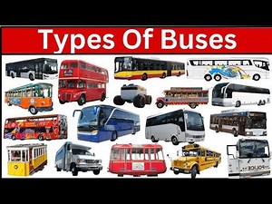 Types of Buses | Bus Names for Kids | Vehicles Name in English | School Bus, City Bus, Double Decker