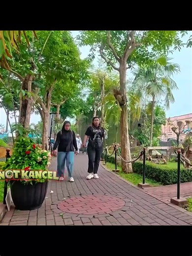 Hilarious Bushman Pranks That Will Leave You in Splits