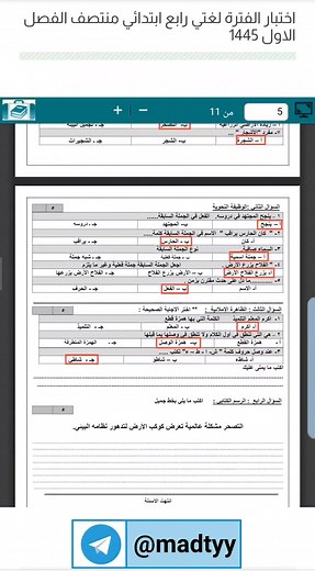 اختبار لغتي رابع ابتدائي منتصف الفصل الاول 1445