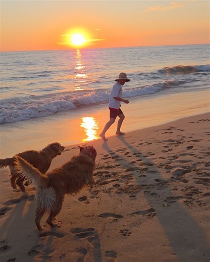 Carlos Peña | Tutoriales de tecnología | Ejemplos reales de fotos con Samsung Galaxy S25 (el normal, el más chiquito y barato de los tres pero con el mismo procesador potente y... | Instagram
