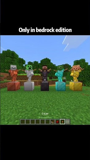 Minecraft Armor Stand Glitch Moments