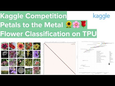 Kaggle Mini Courses - Petals to the Metal🌻🌸🌹 + Cassava Leaf Classification