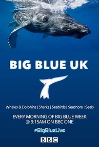 Big Blue UK (2015) - TV Show