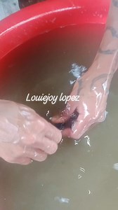 Mag puga nata sa atUng gamayay nga gold#highlights#everyone#followershighlightseveryone#buhayminers#mining#blessingsthankful | Louiejoy Lopez