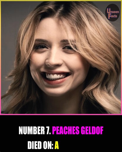 Remembering Peaches Geldof, a writer and television presenter, who passed away at 25. #reels #reels2025 #peachesgeldof #television #writer #personality | Unseen Facts Compilations