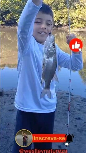 #pescaria #pesca #robalo #fishing #viral