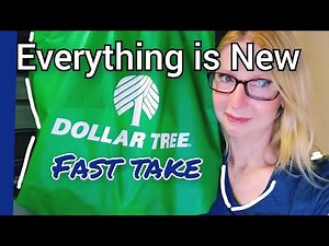 DOLLAR TREE HAUL | ALL NEW FINDS TODAY | AMAZING FOR ONLY $1 | EVERYTHING IN MY BAG IS BRAND NEW