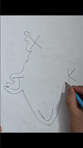 How to Draw the Map of India Using a Simple Trick | Easy India Map Drawing Step by Step