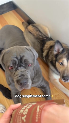 dog supplement asmr ✨ #asmr #dogs #dogasmr #dogseating #dogsupplements | Raw Dog Mom