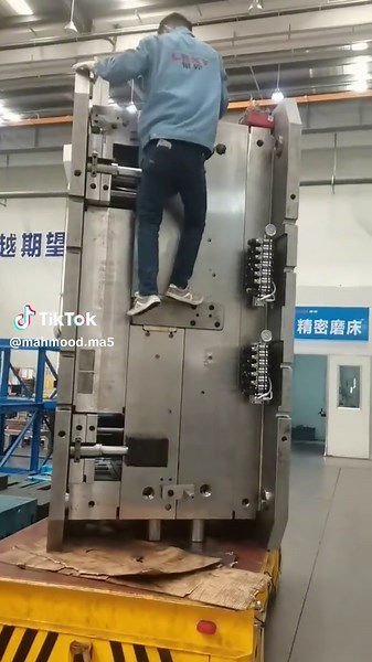 Effective Mold Remediation Process Explained