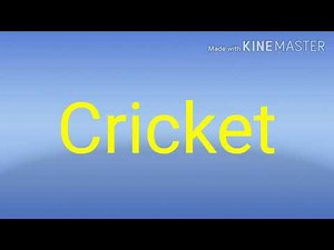 Cricket sound effects no copyright