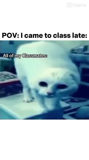PIV I came to class late .. #editing #kpop #kpopedit #roblox #katseye #class #cat #funny #shortvideo