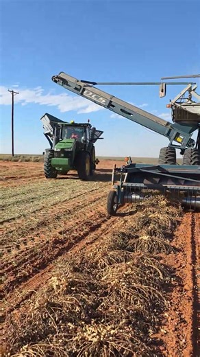 Peanut Harvesting with a High-Performance Combine