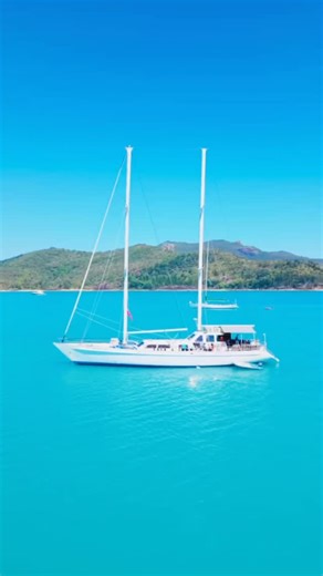 Whitsunday Expeditions ⛵️ SV Summer Jo on Instagram: "Explore the incredible underwater world of the Whitsunday Islands and the Great Barrier Reef, home to some of the most breathtaking dive sites on our planet. Whether you’re after a chill time out from work, a weekend of leisure, hammocks and ocean views, chasing your dive certification, joining us for fun dives, or just wanting to snorkel and explore, our crew, onboard cook and experienced dive instructors will make every moment unforgettable