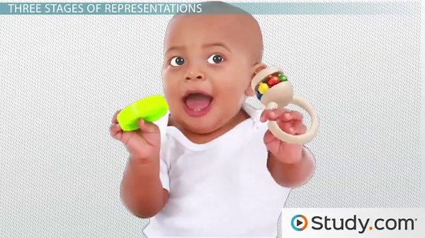 Jerome Bruner's Theory of Development: Discovery Learning & Representation