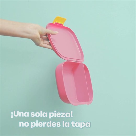 🥗✨ Organiza tu lunch de forma práctica y saludable ✨🥗 El 123 Lunch cuenta con dos compartimentos independientes que evitan que los alimentos se mezclen, manteniendo cada porción en perfecto estado. Funcional, cómodo y pensado para tu ritmo diario. 🥳 | Tupperware Brands Campeche Oficial