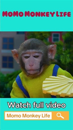 Monkey Momo and Baby Monkey Roast Corn at an Outdoor Party 🌽🎉 | MoMo Monkey Life