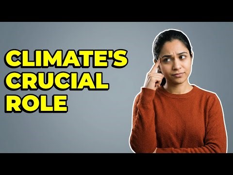 What Makes Temperature A Key Factor For Biome Classification?