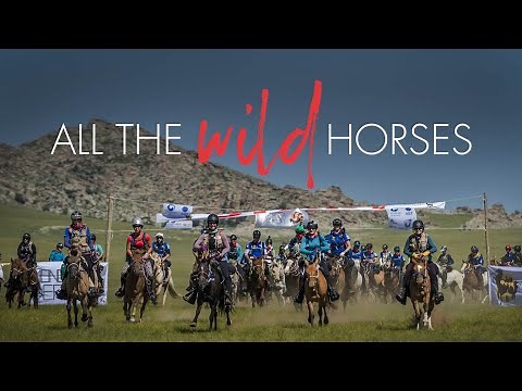 All The Wild Horses | Trailer | iwonder.com