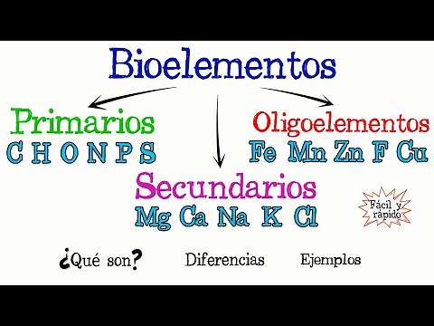 💫Primary, Secondary, and Trace Bioelements💫 [Easy and Fast] | CHEMISTRY | | BIOLOGY |