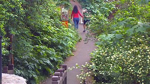 U.S. Forest Service waives fees for recreation sites on June 12