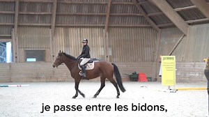 LE CHEVAL DANS LA FUITE Vous connaissez Maxime Baticle ? Formateur Horseman Science, formé à mes côtés. C’est avec lui que j’ai décidé de créer le module de CSO qui est disponible en ligne, car il a su apporter l’éthologique à la spécificité du saut d’obstacle. Vous aimeriez en savoir plus ? Vous trouverez tout cela dans notre formation module HORSEMAN CSO. Et bonne nouvelle, pour tous les amoureux du saut d’obstacle depuis cette semaine nous vous offrons -20% sur la formation! Profitez en avec 