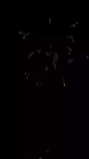 1.7K views · 104 reactions | 19_4 inch 16 Shots Titanium Salute Shells #fireworkshell #4inchshell #fireworks #firework #feuerwer | Firework Show | Facebook