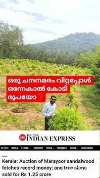 ഒരു ചന്ദനമരത്തിന് ഒന്നേകാൽ കോടി രൂപയോ ❓#sandalwood #group #farming #palakkad #realovest 9539272435