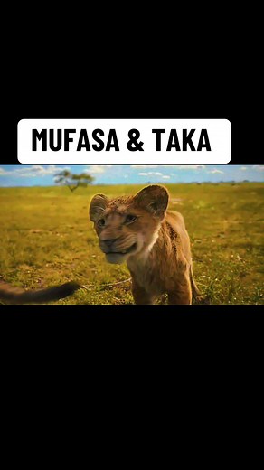 Exploring Mufasa's Legacy in The Lion King
