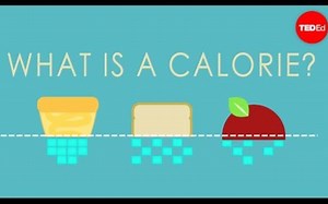 【Ted-ED】什么是卡路里 What Is A Calorie