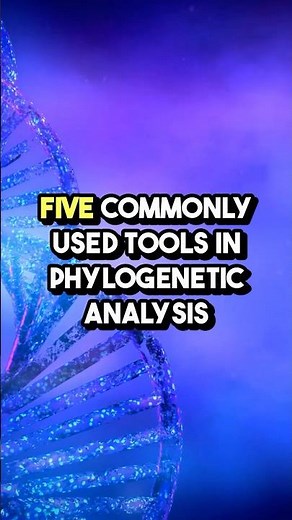 Five commonly used tools in phylogenetic analysis