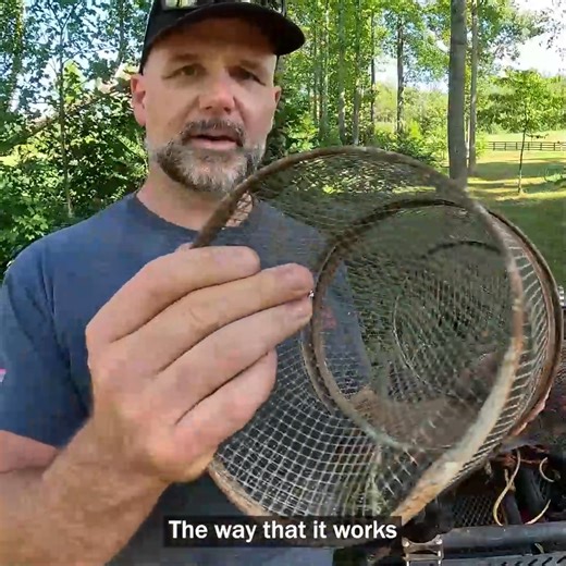 14K views · 258 reactions | Stocking The Farm Pond For Free! | Stoney Ridge Farmer | Facebook