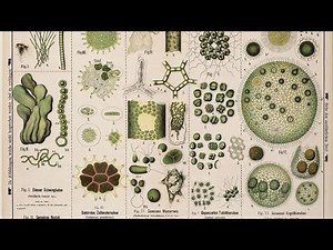 𝐖𝐀𝐒 𝐒𝐂𝐈𝐄𝐍𝐂𝐄 𝐀𝐋𝐖𝐀𝐘𝐒 𝐓𝐇𝐈𝐒 𝐄𝐀𝐒𝐘?💻 :: science study session subliminal bundle。